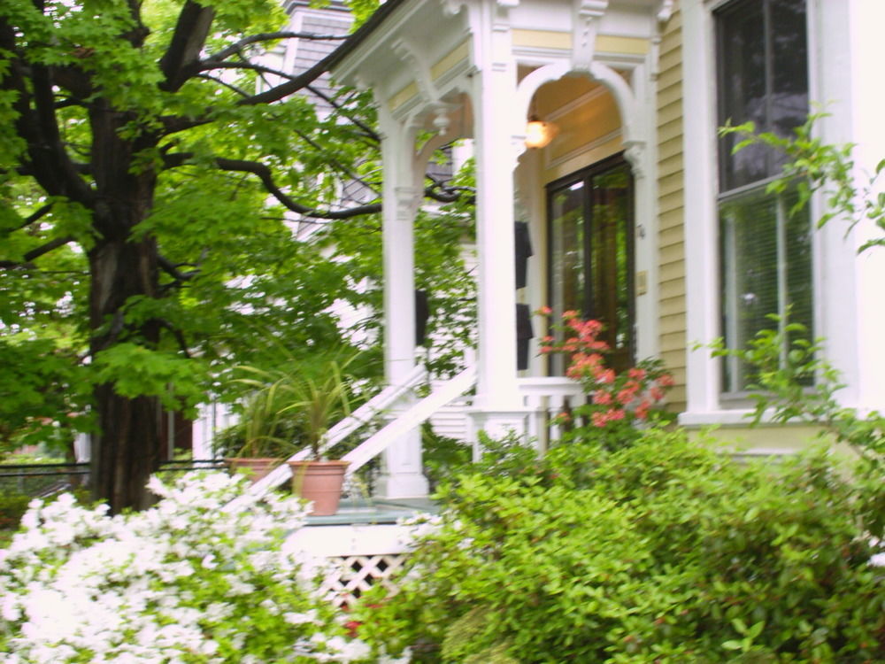 Parkside On Ellery Hotel Cambridge Luaran gambar