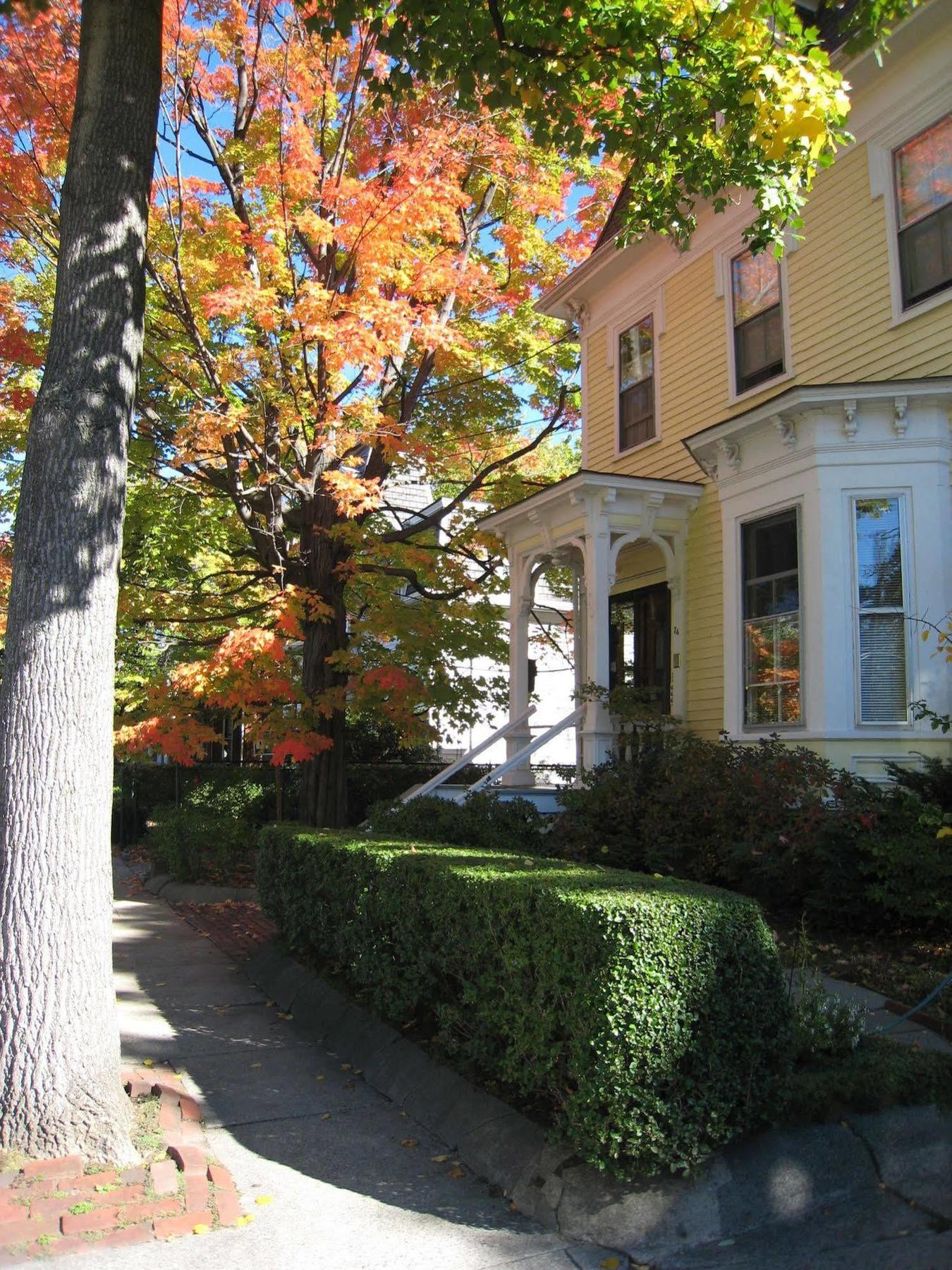 Parkside On Ellery Hotel Cambridge Luaran gambar